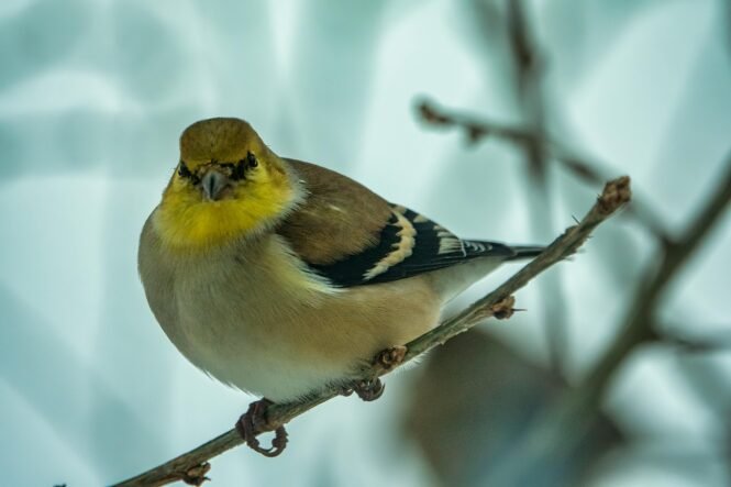 Credits: Tom Fisk, pexels