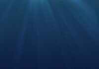 Credits: TabbyCatXIII, pixabay