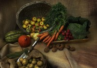 Credits: Michi-Nordlicht, pexels