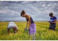 Bei dieser landwirtschaftlichen Bodenuntersuchung messen die Forscher eine Vielzahl von Bodenbedingungen auf den Ackerflächen, um die Multifunktionalität des Bodens zu bewerten. Die vielen Funktionen eines gesunden Bodens sollten erhalten bleiben, um eine nachhaltige Landwirtschaft zu ermöglichen. Credits: Ron de Goede /Universität Wageningen