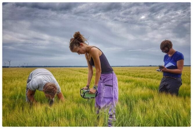 Bei dieser landwirtschaftlichen Bodenuntersuchung messen die Forscher eine Vielzahl von Bodenbedingungen auf den Ackerflächen, um die Multifunktionalität des Bodens zu bewerten. Die vielen Funktionen eines gesunden Bodens sollten erhalten bleiben, um eine nachhaltige Landwirtschaft zu ermöglichen. Credits: Ron de Goede /Universität Wageningen