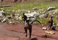 Credits: torkil, pixabay