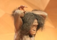 Credits: sgrunden, pixabay