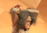 Credits: sgrunden, pixabay