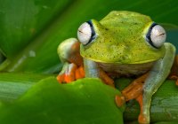 Credits: Oliver Thier