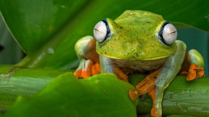 Credits: Oliver Thier