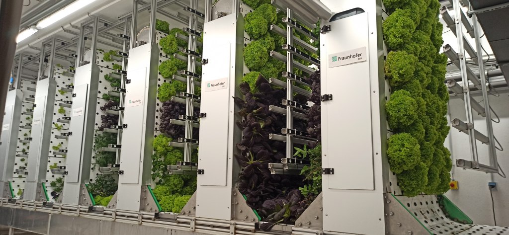 Credits: Fraunhofer IME