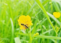 Credits: Universität Würzburg