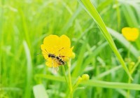 Credits: Universität Würzburg