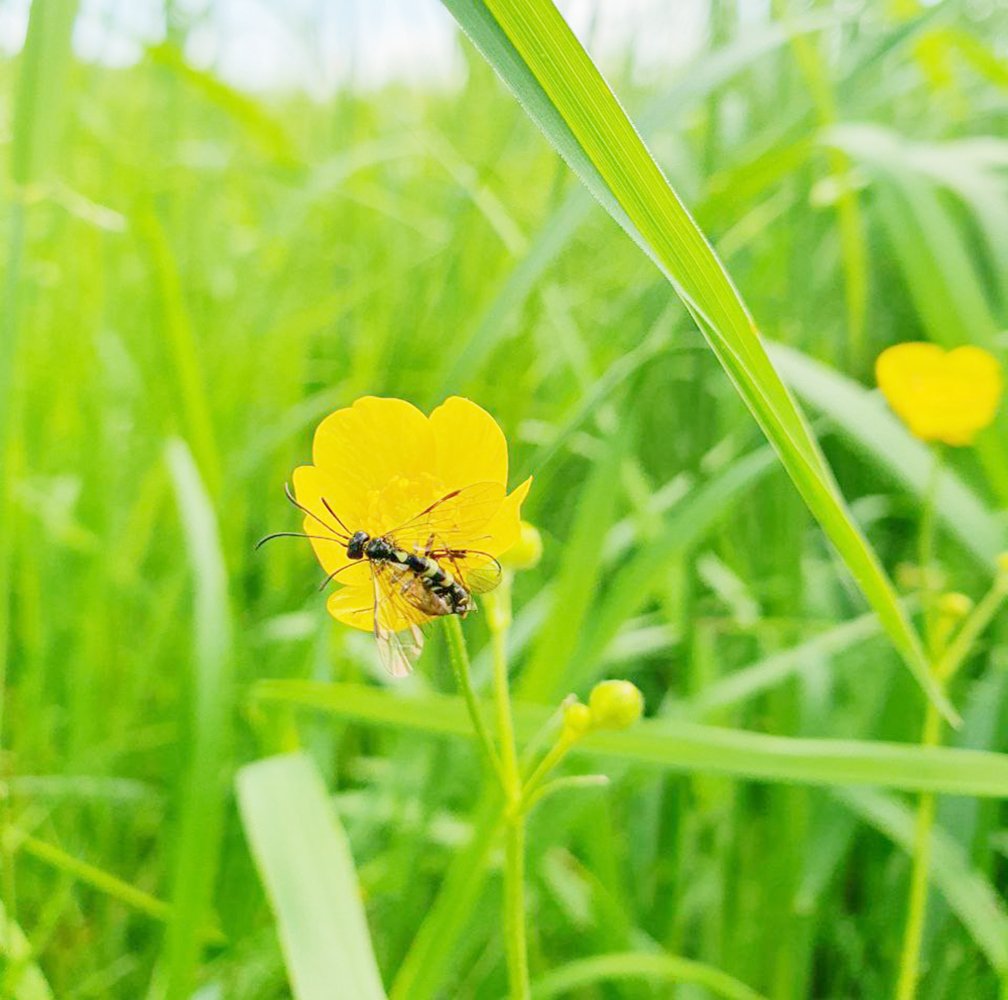 newsimage406754 | Pugnalom Credits: Universität Würzburg