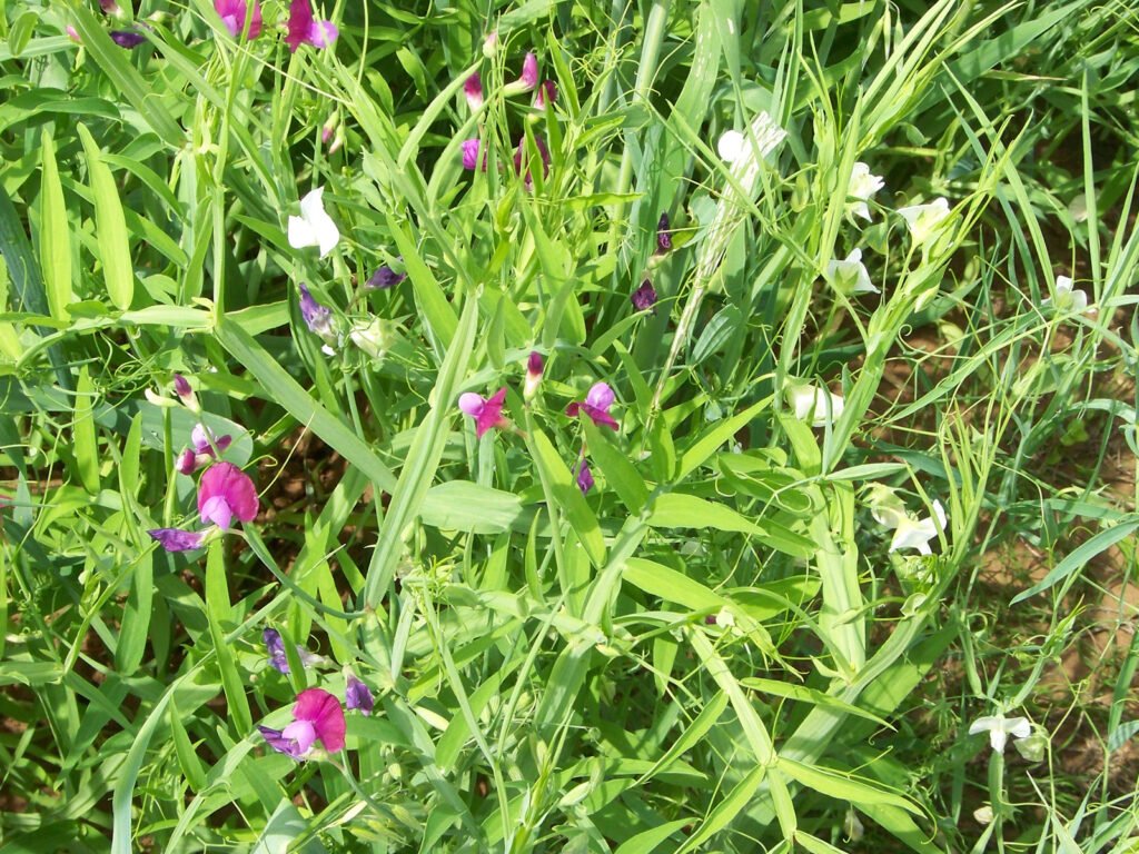 Credits: Nadja Kasperczyk