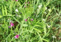 Credits: Nadja Kasperczyk