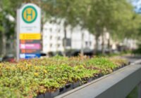 Credits: HTWK Leipzig