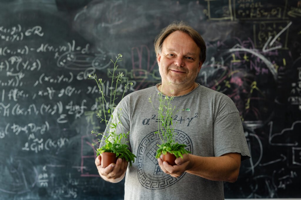 Professor Ji?í Friml mit der Ackerschmalwand Credits: Luiza Puiu, FWF