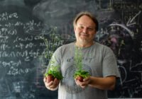 Professor Ji?í Friml mit der Ackerschmalwand Credits: Luiza Puiu, FWF