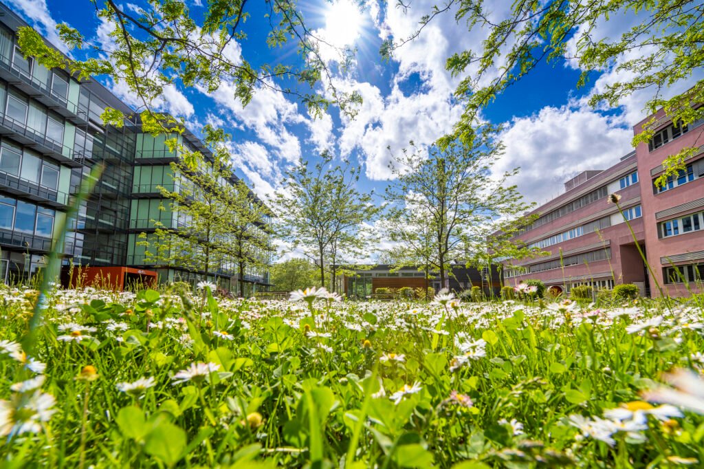 Credits: Heidelberg Marketing GmbH