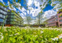 Credits: Heidelberg Marketing GmbH