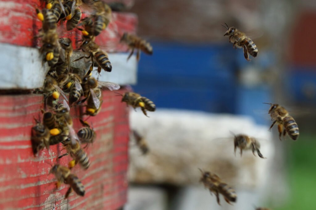 Credits: Universität Würzburg