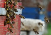 Credits: Universität Würzburg