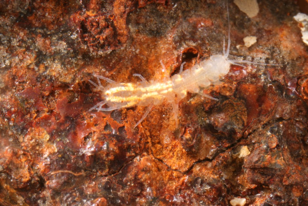 Credits: Heide Stein, Carsten Grabow und Hans Jürgen Hahn, RPTU