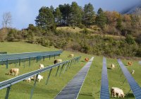 Credits: AG Qaim, Universität Bonn