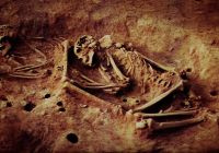 Credits: Ana María Groot, Universidad Nacional de Colombia