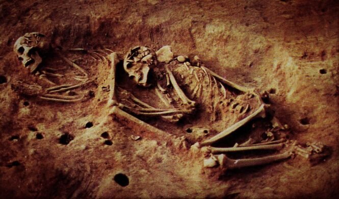 newsimage407554 | Pugnalom Credits: Ana María Groot, Universidad Nacional de Colombia