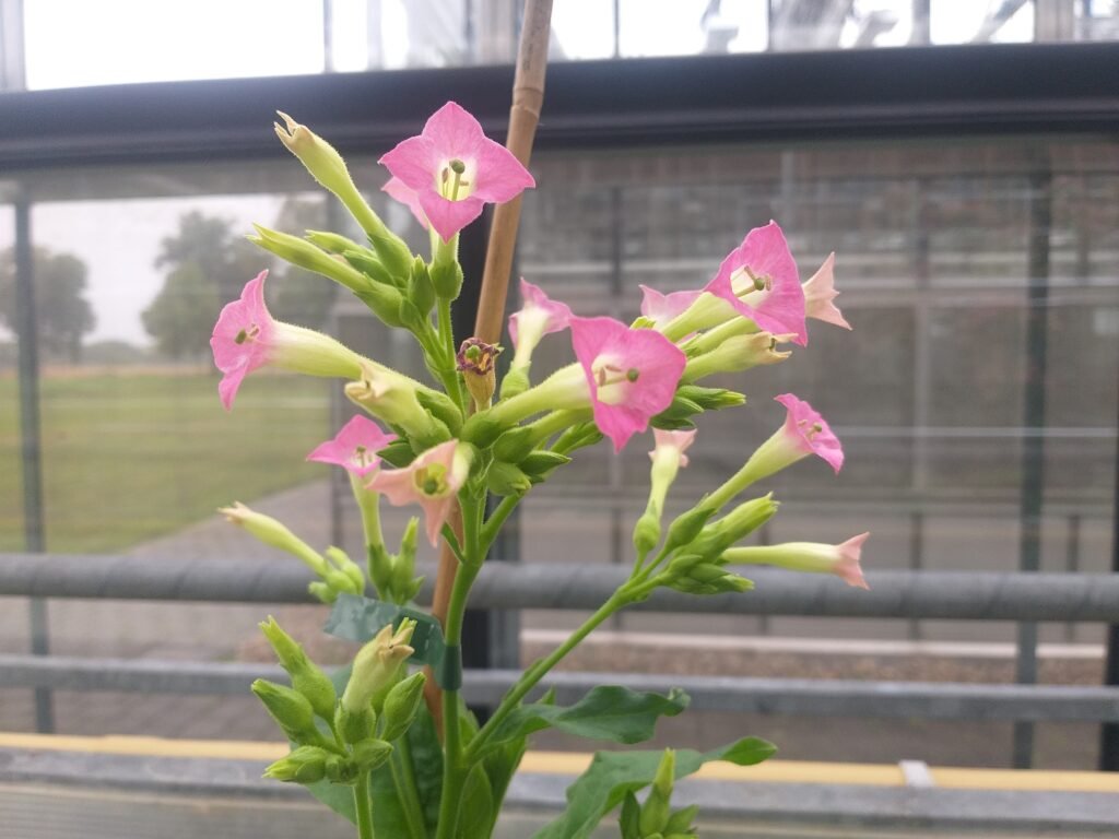 Credits: Enrique Gonzalez-Duran, MPI-MP