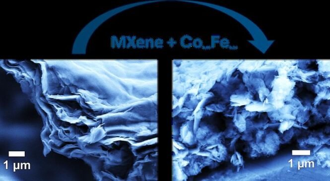 newsimage407760 | Pugnalom