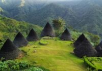 Credits: 1918s, pexels