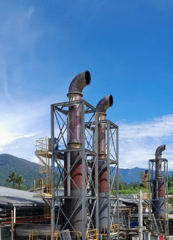 Credits: Bernard Basse, pexels