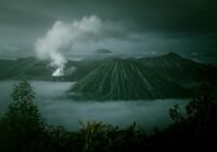 Credits: Capung Purnomo, pexels