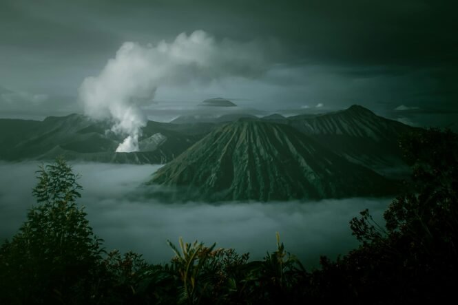 pexels-capung-purnomo-1180051-2609952 | Pugnalom Credits: Capung Purnomo, pexels