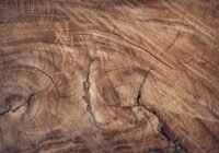 Credits: FWstudio, pexels