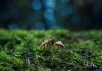 Credits: Chris G, pexels