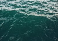 Credits: Josh Sorenson, pexels