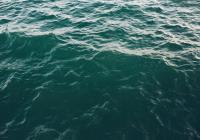 Credits: Josh Sorenson, pexels