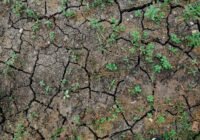 Credits: Kelly, pexels