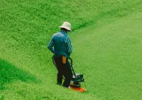 Credits: Le Thanh Huyen, pexels