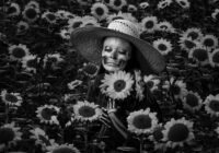 Credits: Manuel Cortés, pexels