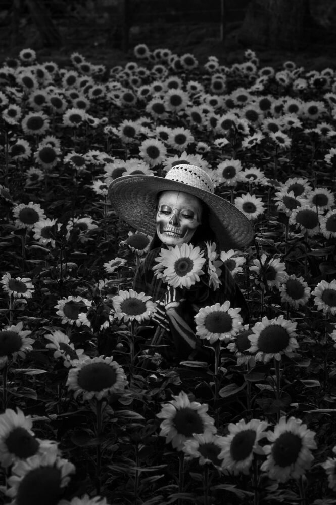 Credits: Manuel Cortés, pexels