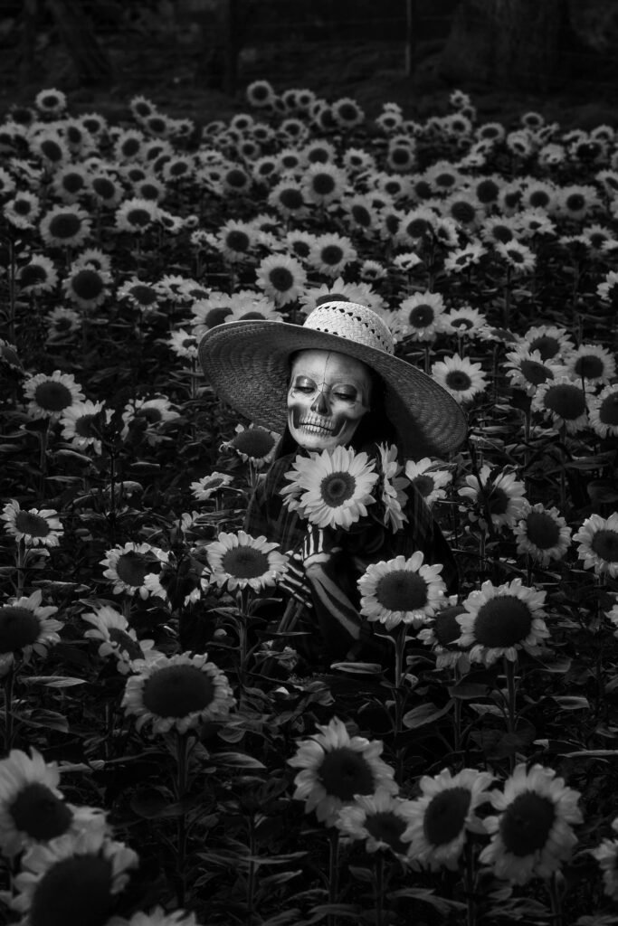 Credits: Manuel Cortés, pexels