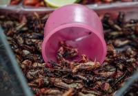 Credits: Mike González, pexels