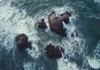 Credits: Sebastian Voortman, pexels