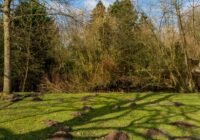 Credits: Sergej Karpow, pexels