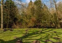 Credits: Sergej Karpow, pexels