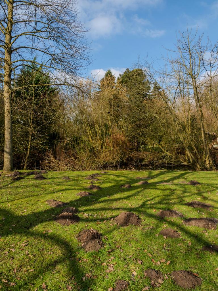 Credits: Sergej Karpow, pexels