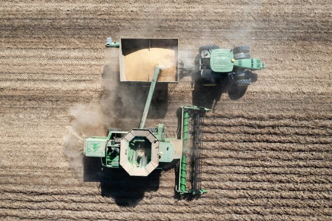 pexels-tomfisk-28961111 | Pugnalom Credits: Tom Fisk, pexels