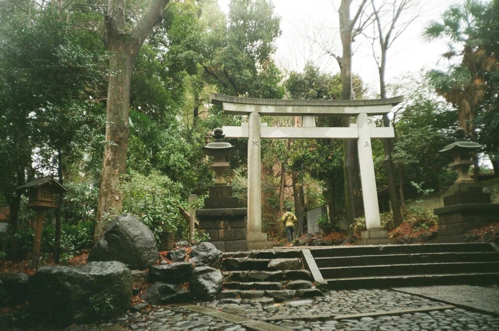 pexels-vivika-stamolis-2150389923-31112574 | Pugnalom Credits: Vivika Stamolis, pexels