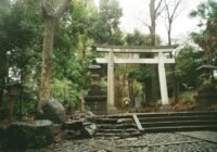 Credits: Vivika Stamolis, pexels